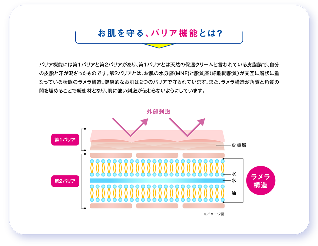 お肌を守る、バリア機能とは？
