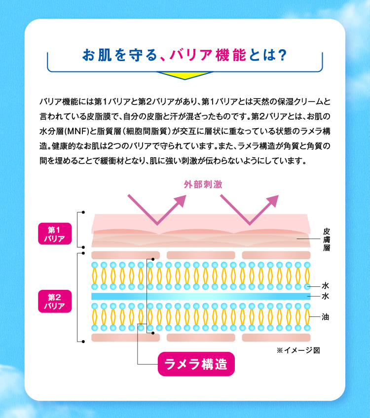 お肌を守る、バリア機能とは？