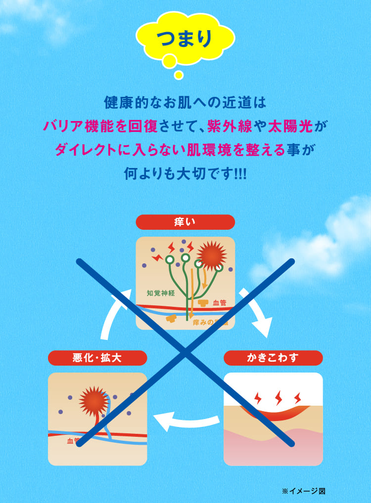 つまり、健康的なお肌への近道はバリア機能を回復させて、紫外線や太陽光がダイレクトに入らない肌環境を整えることが何よりも大切です