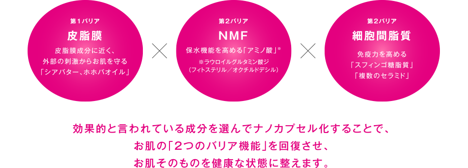 皮脂膜×NMF×細胞間脂質。これらの成分がお肌の「２つのバリア機能」を回復させ、お肌そのものを健康な状態に整えます。
