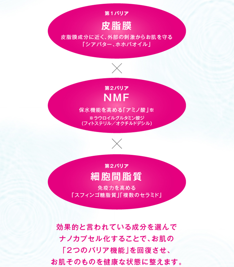 皮脂膜×NMF×細胞間脂質。これらの成分がお肌の「２つのバリア機能」を回復させ、お肌そのものを健康な状態に整えます。