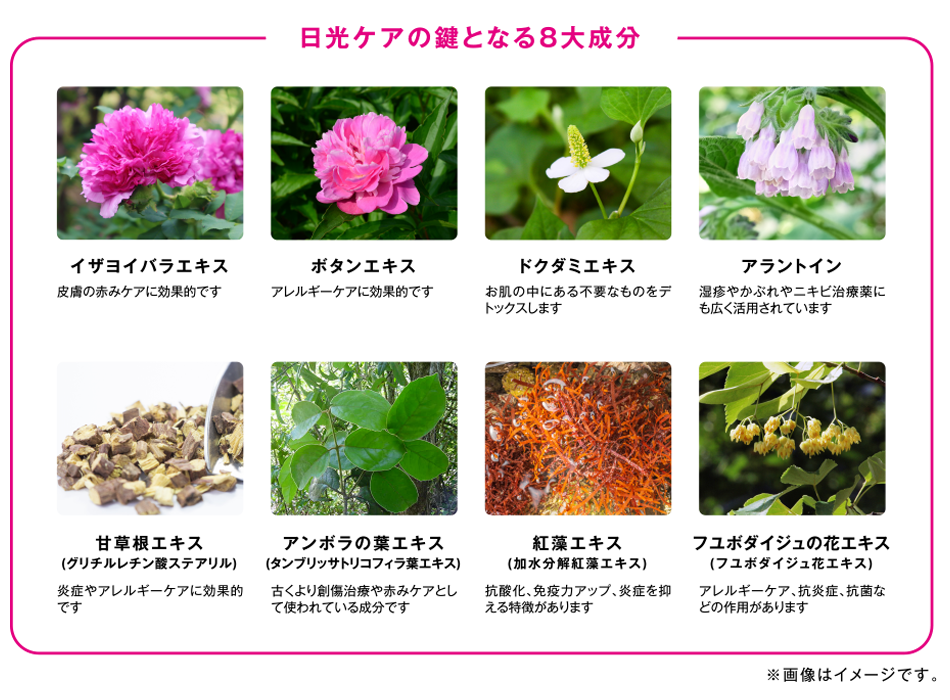日光ケアの鍵となる８大成分