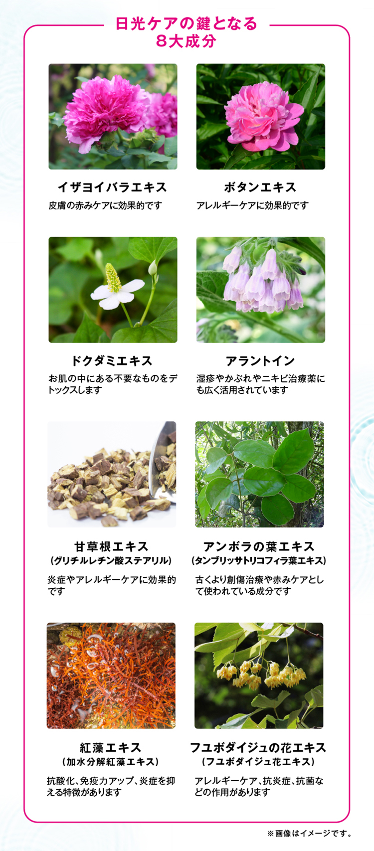 日光ケアの鍵となる８大成分