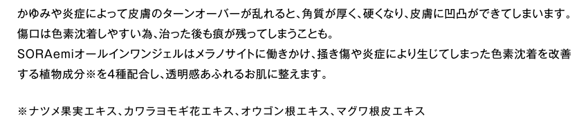 解説文