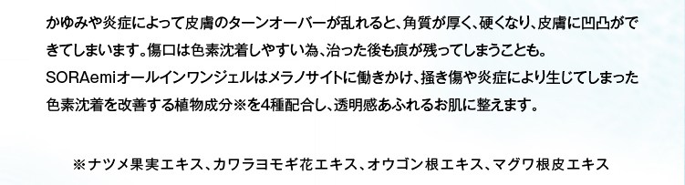 解説文